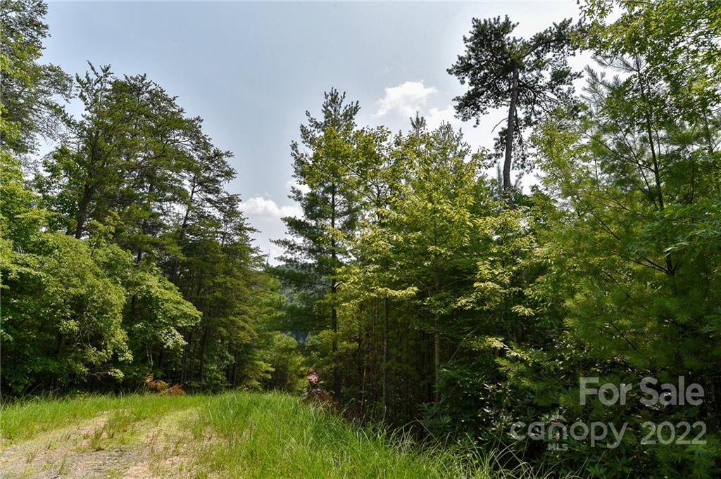 Lot 22 The Vines Boulevard Marshall NC 28753