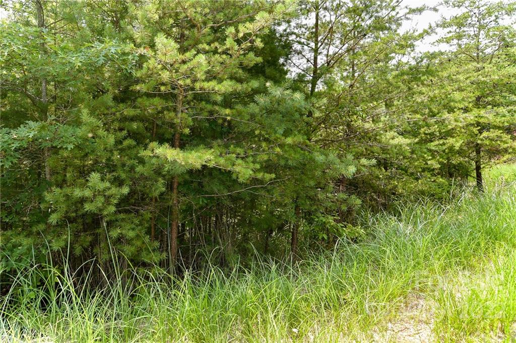 Lot 22 The Vines Boulevard Marshall NC 28753