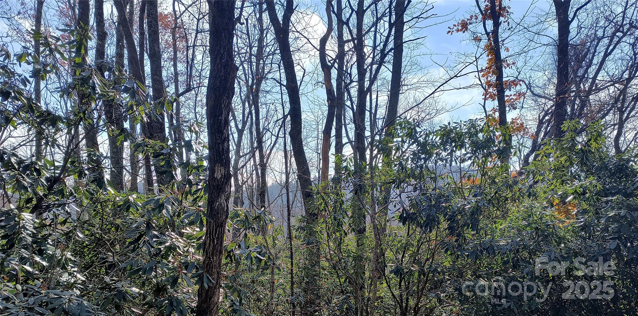 Lot 322 Sunny Drive Newland NC 28657