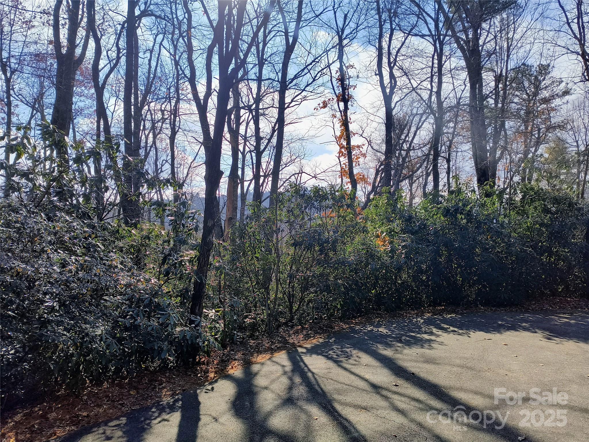 Lot 322 Sunny Drive Newland NC 28657