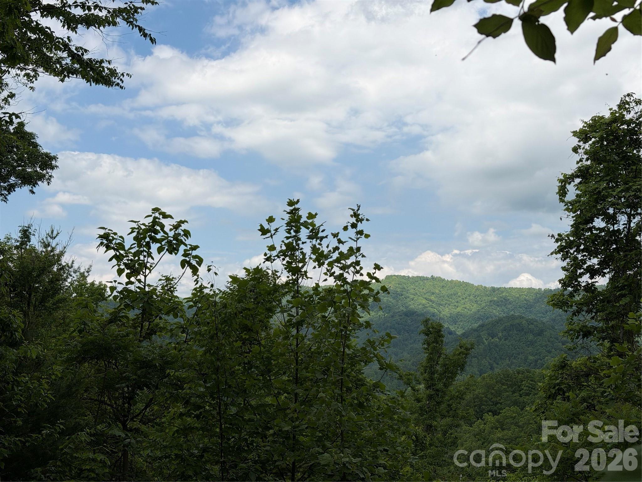 408 Arvil Gosnell Road Marshall NC 28753