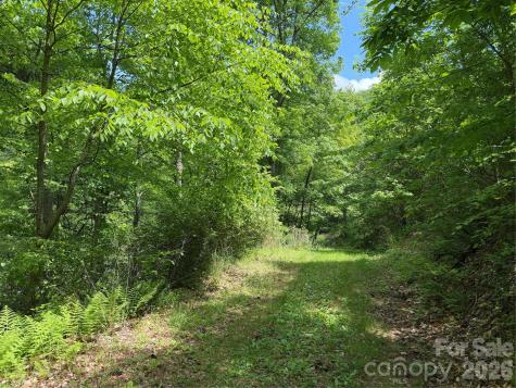408 Arvil Gosnell Road Marshall NC 28753