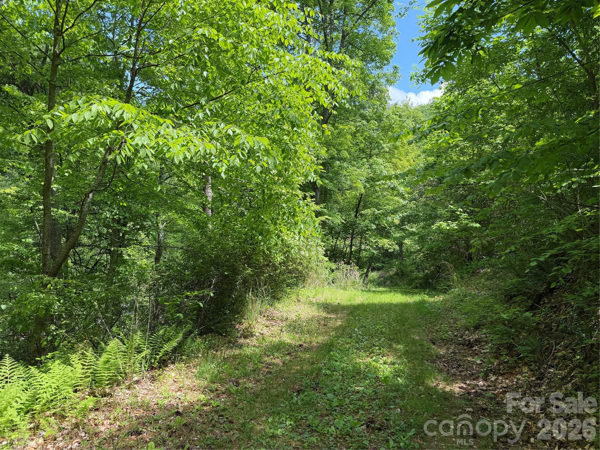 408 Arvil Gosnell Road Marshall NC 28753
