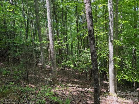 408 Arvil Gosnell Road Marshall NC 28753