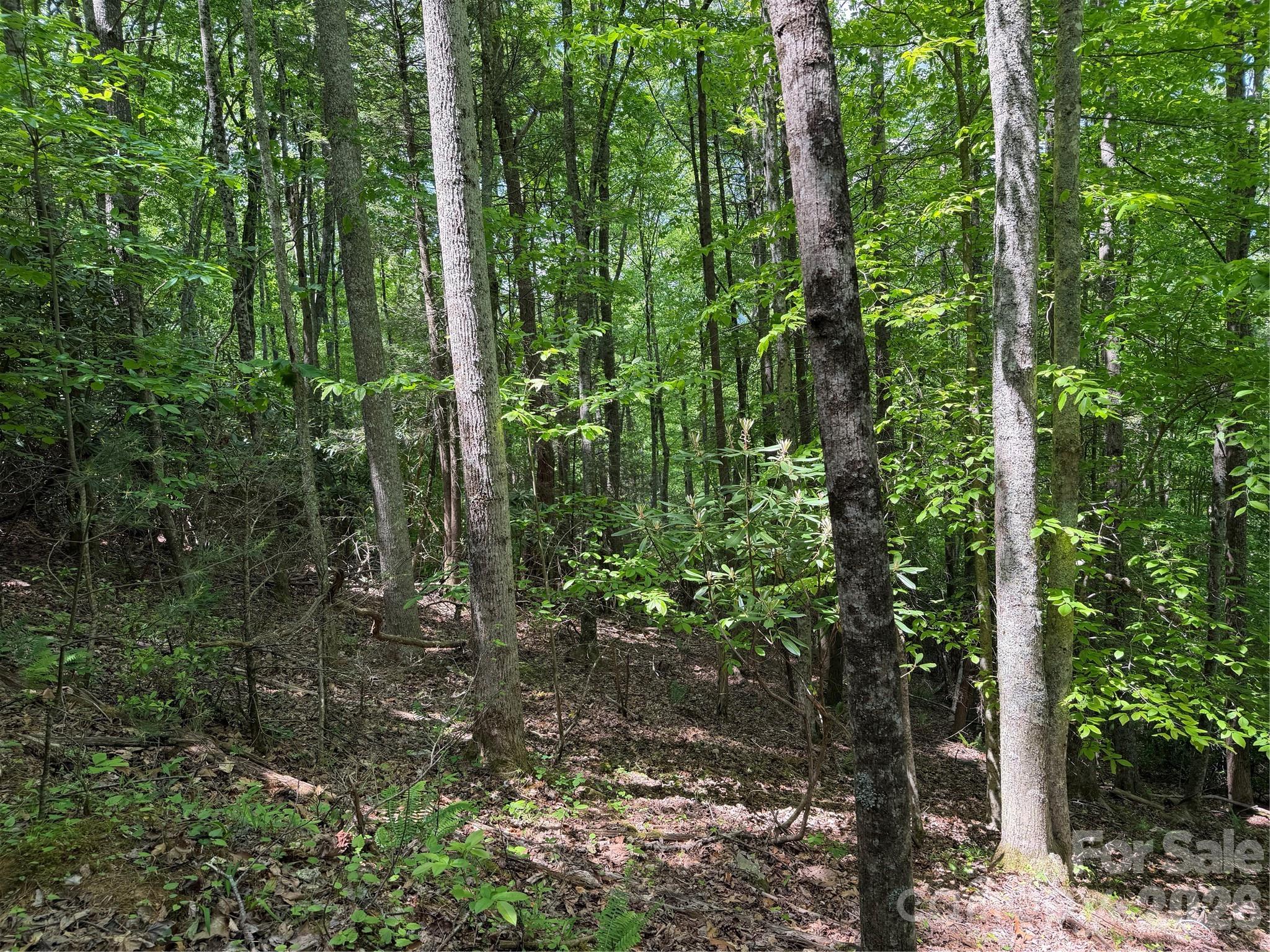 408 Arvil Gosnell Road Marshall NC 28753