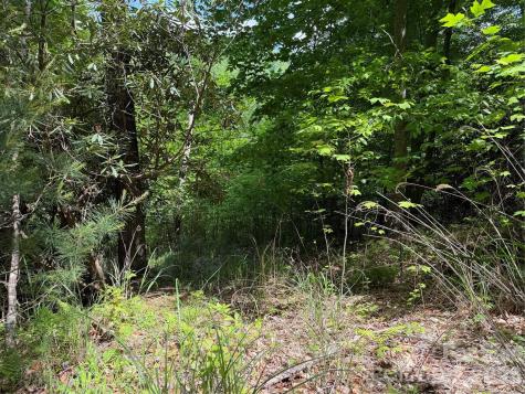 408 Arvil Gosnell Road Marshall NC 28753