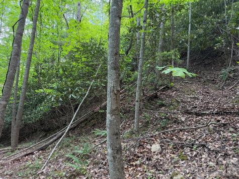 408 Arvil Gosnell Road Marshall NC 28753