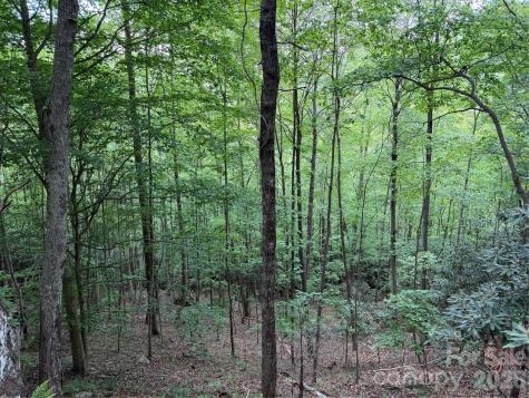 408 Arvil Gosnell Road Marshall NC 28753