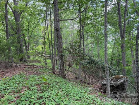 408 Arvil Gosnell Road Marshall NC 28753