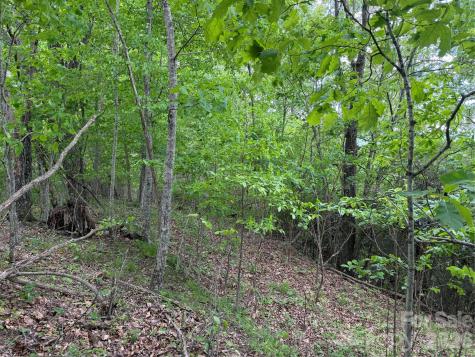 408 Arvil Gosnell Road Marshall NC 28753