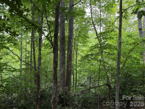 408 Arvil Gosnell Road Marshall NC 28753