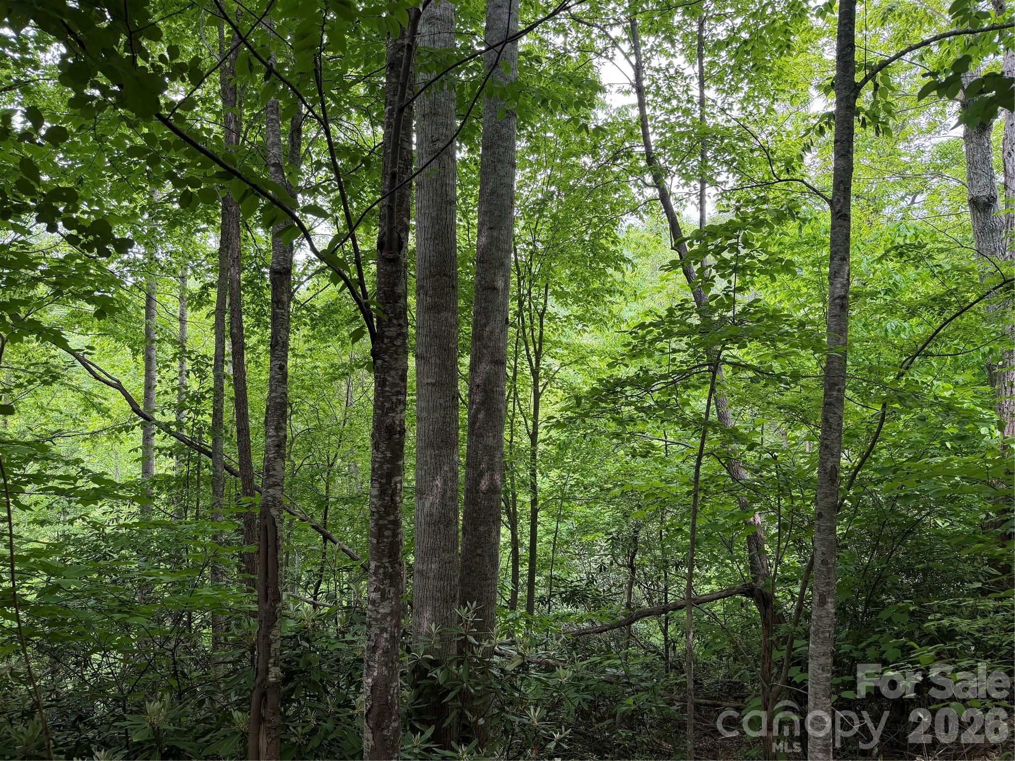 408 Arvil Gosnell Road Marshall NC 28753