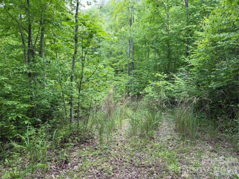 408 Arvil Gosnell Road Marshall NC 28753