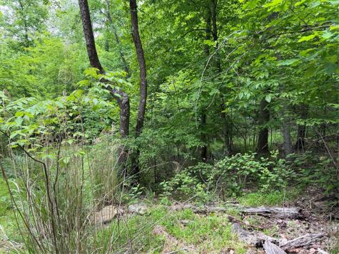 408 Arvil Gosnell Road Marshall NC 28753