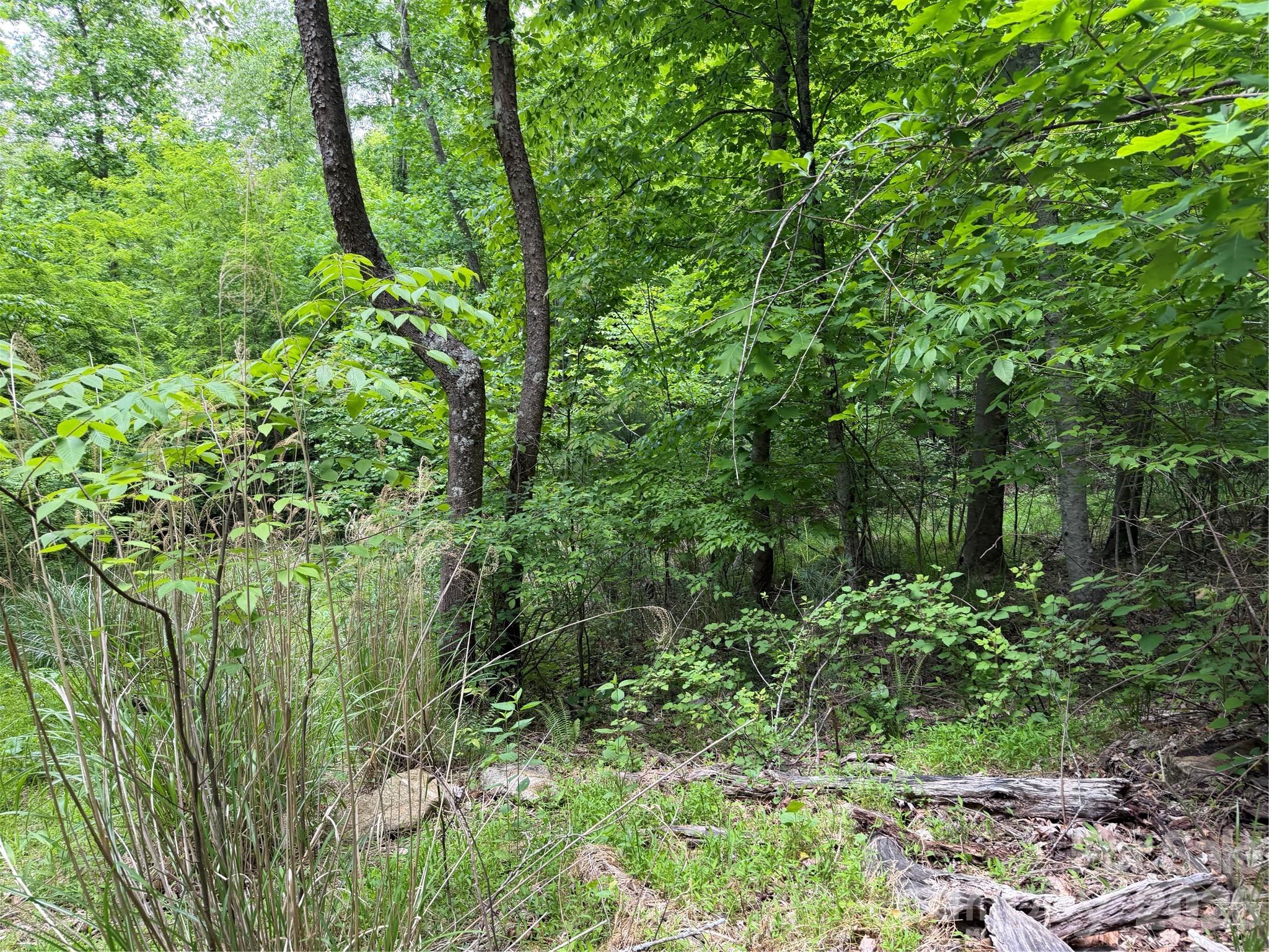 408 Arvil Gosnell Road Marshall NC 28753