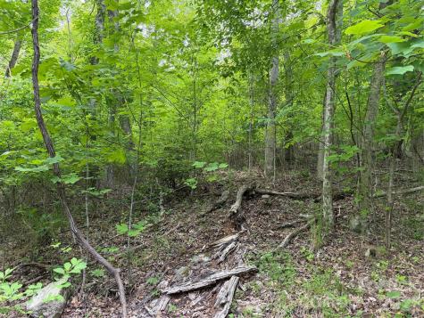 408 Arvil Gosnell Road Marshall NC 28753