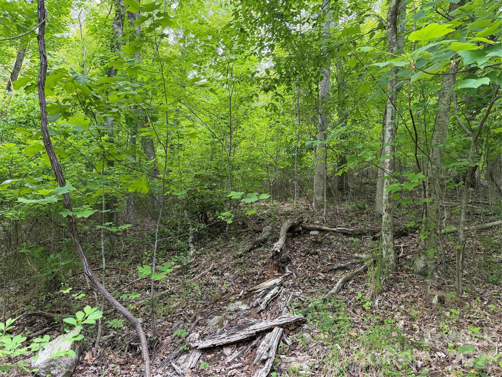 408 Arvil Gosnell Road Marshall NC 28753