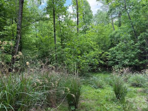 408 Arvil Gosnell Road Marshall NC 28753
