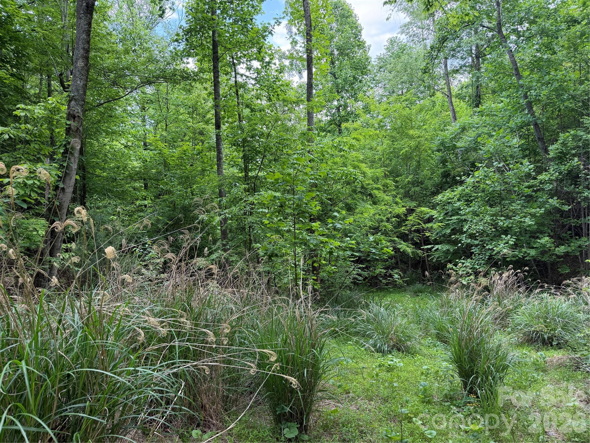 408 Arvil Gosnell Road Marshall NC 28753