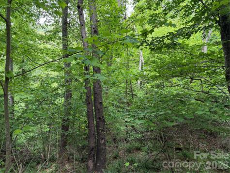 408 Arvil Gosnell Road Marshall NC 28753