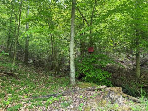 408 Arvil Gosnell Road Marshall NC 28753