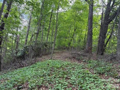 408 Arvil Gosnell Road Marshall NC 28753