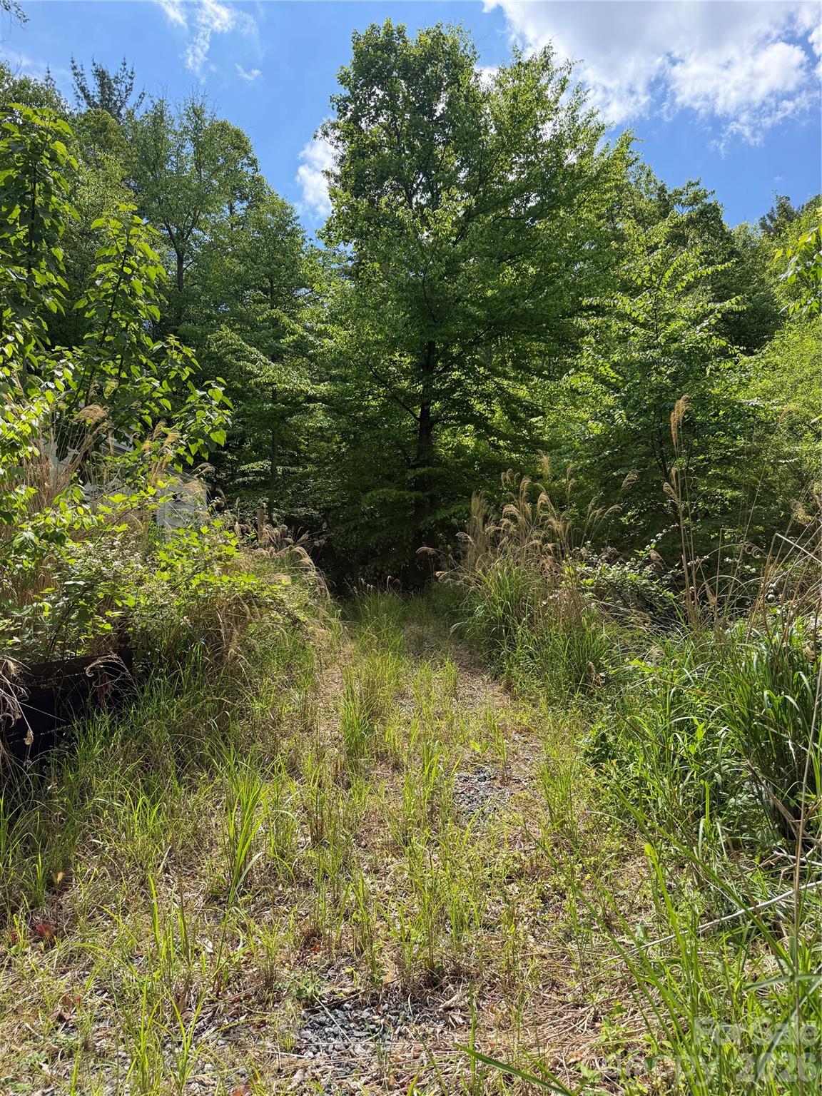 408 Arvil Gosnell Road Marshall NC 28753