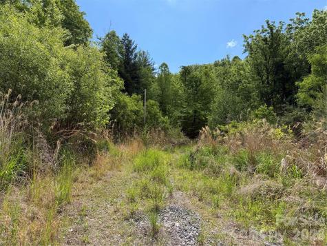 408 Arvil Gosnell Road Marshall NC 28753