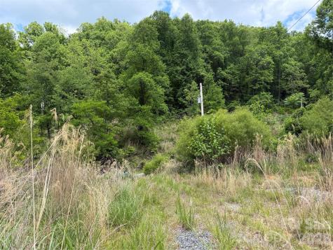 408 Arvil Gosnell Road Marshall NC 28753