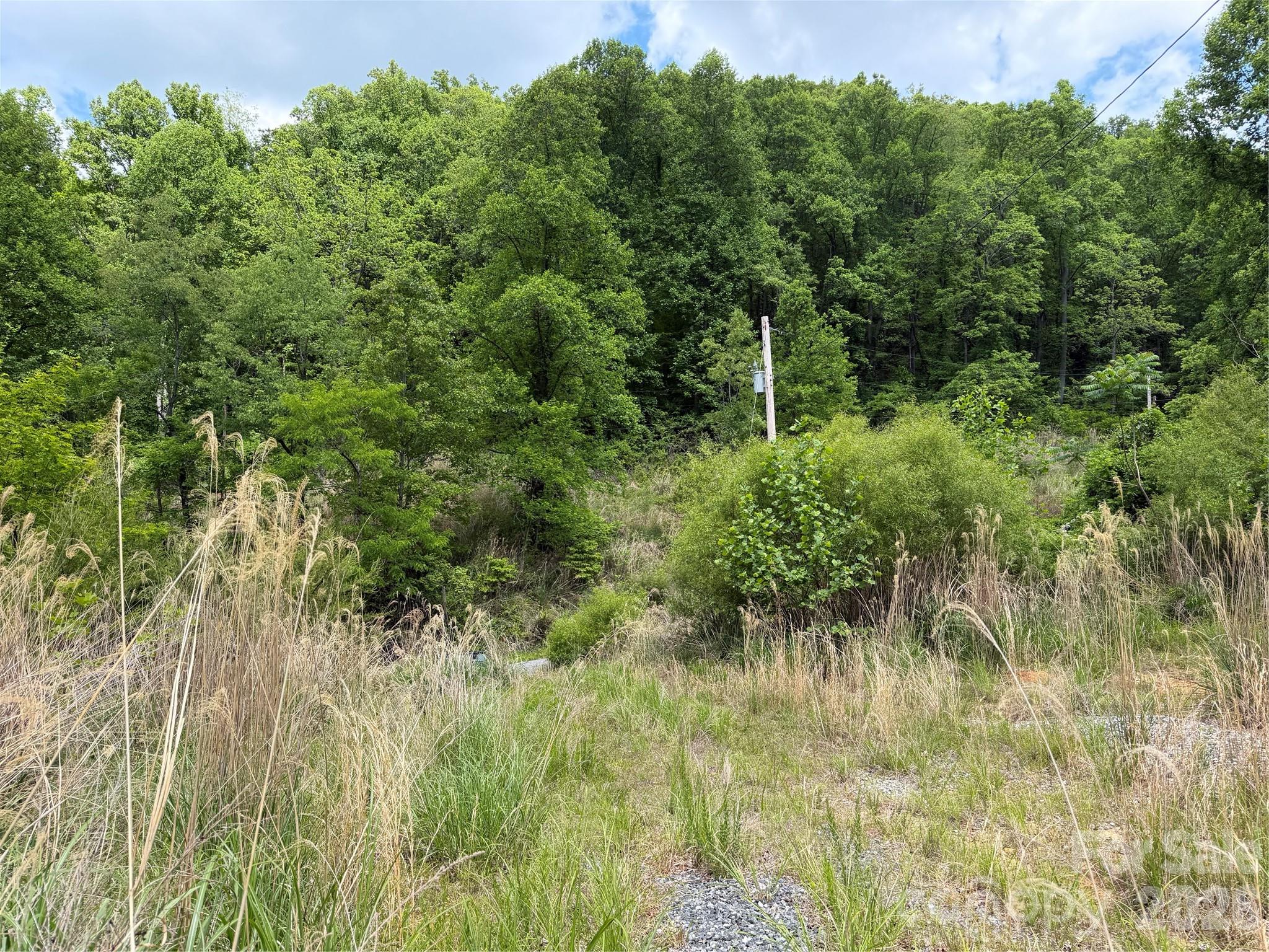 408 Arvil Gosnell Road Marshall NC 28753