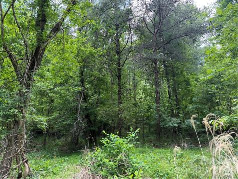 408 Arvil Gosnell Road Marshall NC 28753