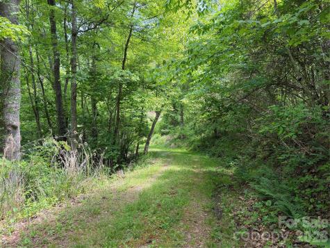 408 Arvil Gosnell Road Marshall NC 28753