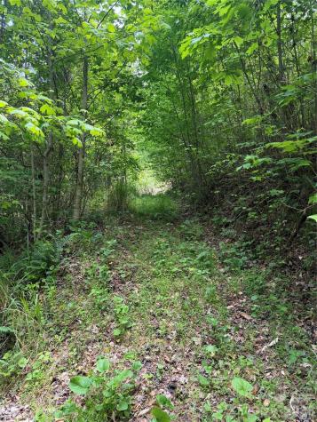 408 Arvil Gosnell Road Marshall NC 28753