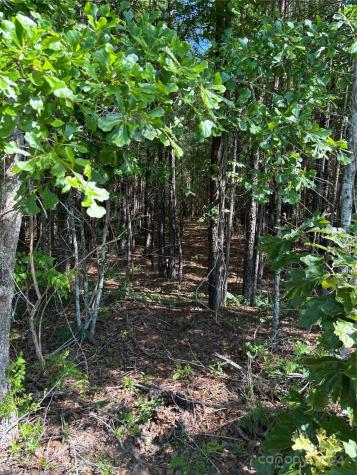 000 Columbus Road Rembert SC 29128