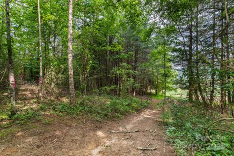 Tbd Whitener Road Penrose NC 28766