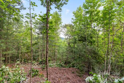 Tbd Whitener Road Penrose NC 28766
