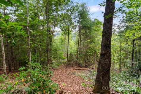 Tbd Whitener Road Penrose NC 28766