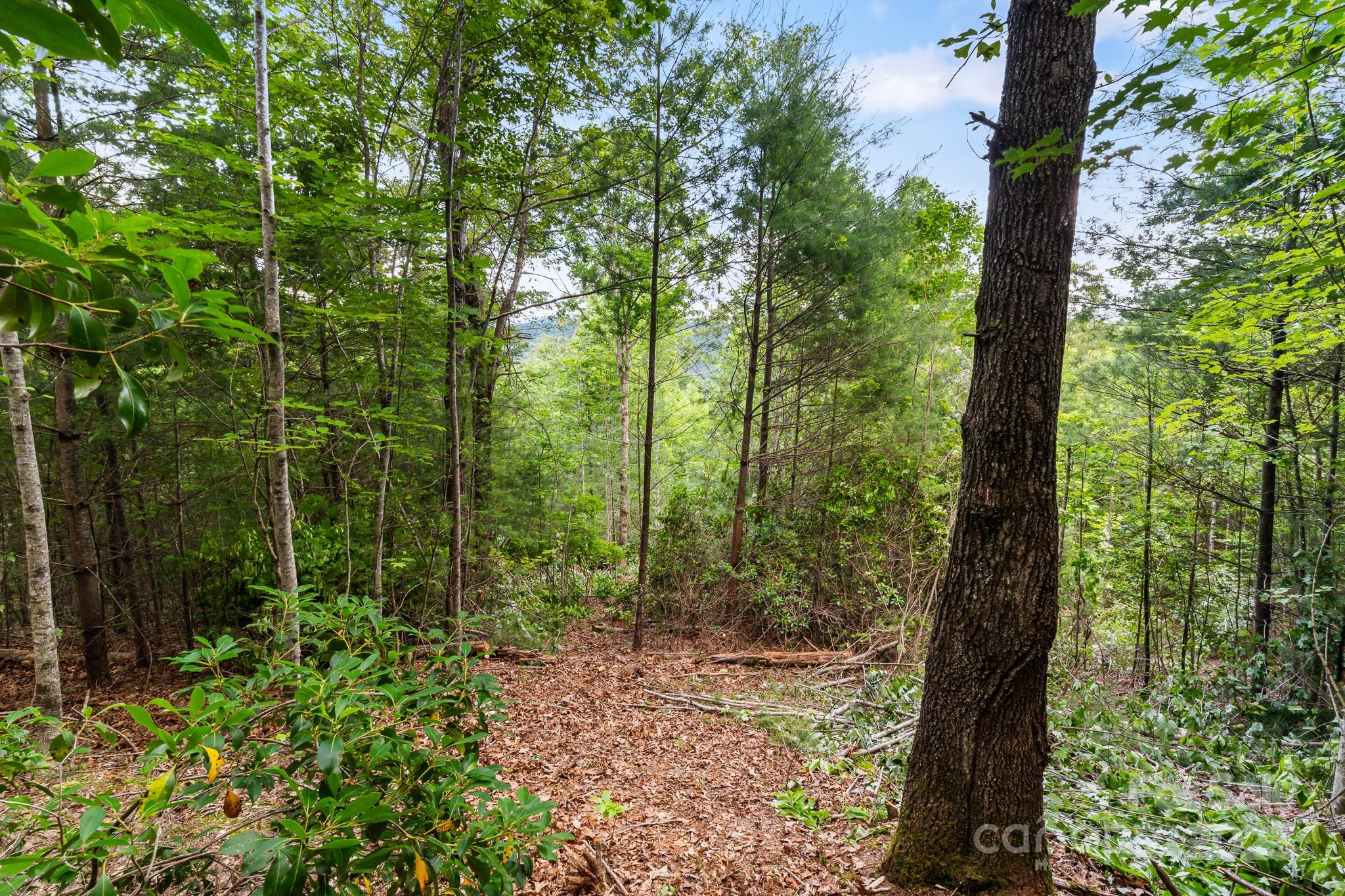 Tbd Whitener Road Penrose NC 28766