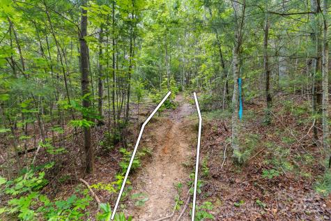 Tbd Whitener Road Penrose NC 28766
