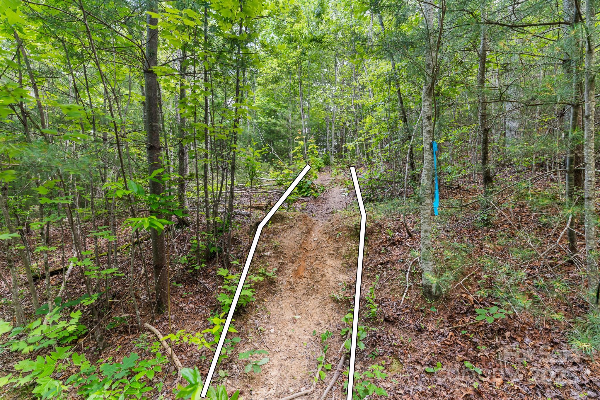 Tbd Whitener Road Penrose NC 28766