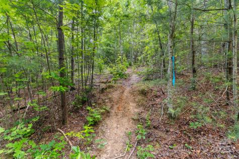 Tbd Whitener Road Penrose NC 28766