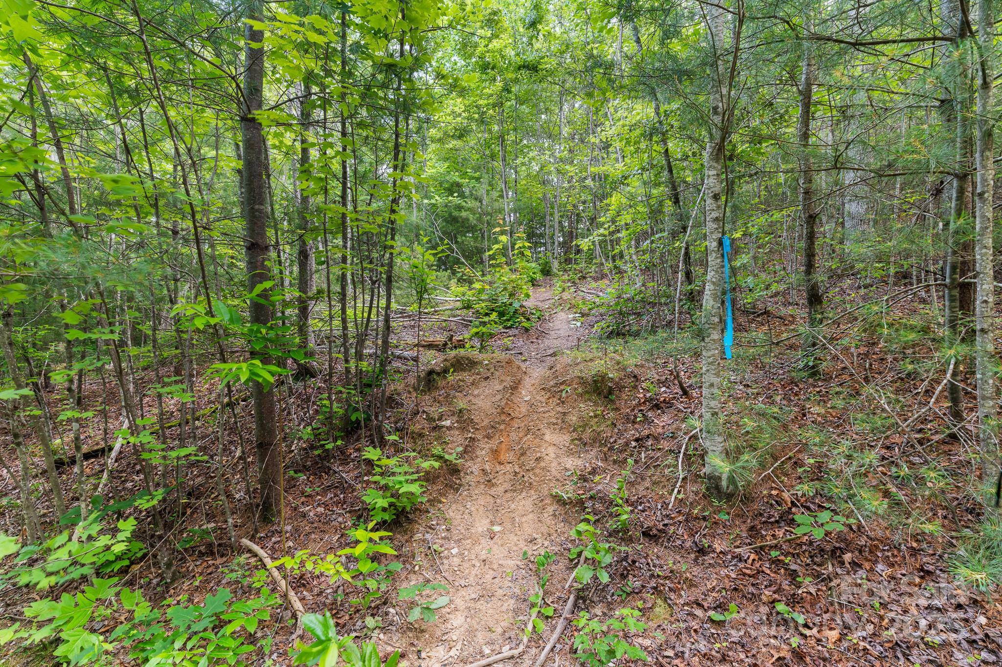 Tbd Whitener Road Penrose NC 28766