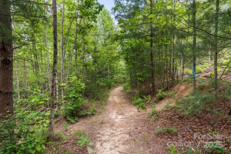 Tbd Whitener Road Penrose NC 28766