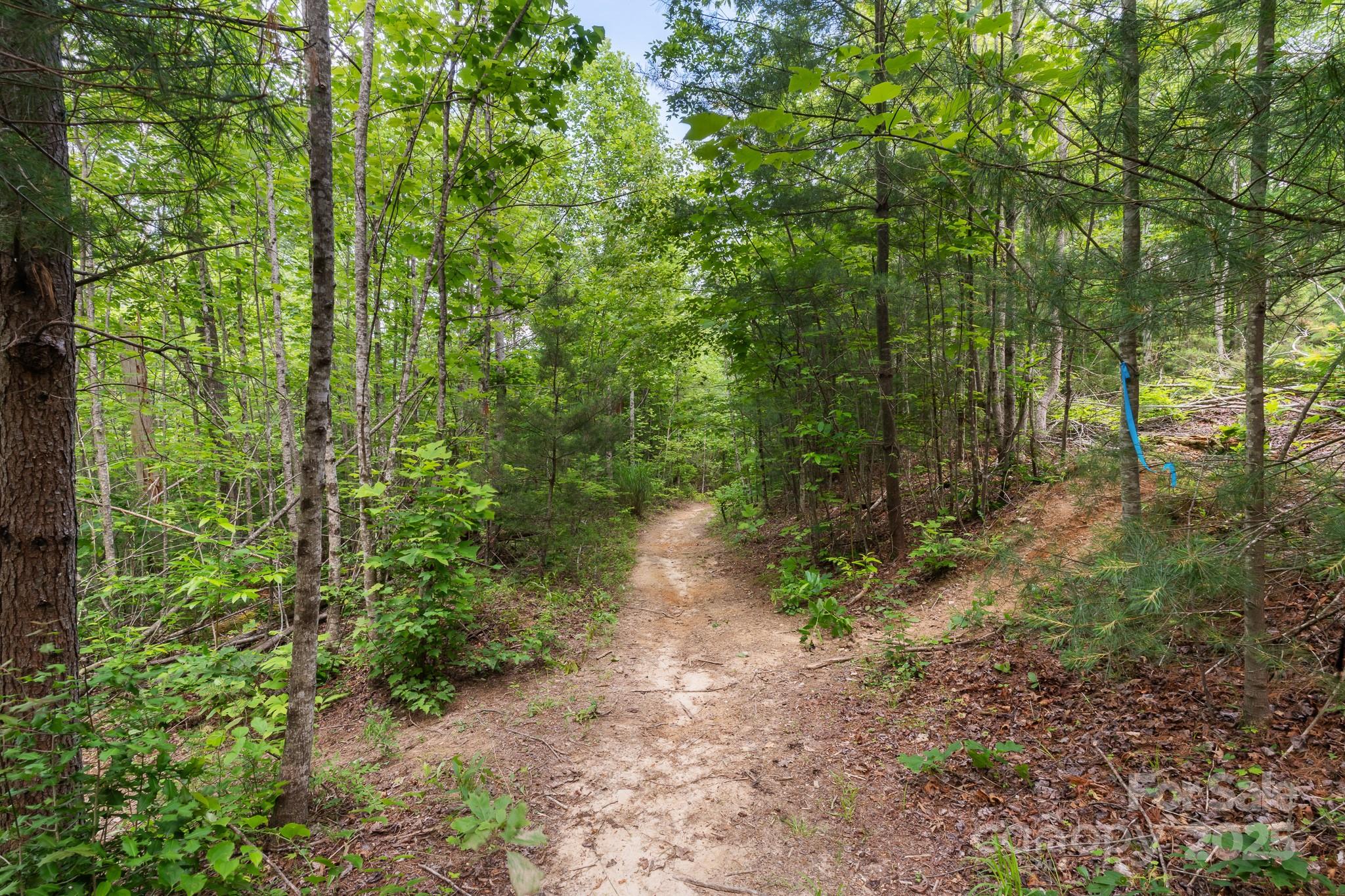 Tbd Whitener Road Penrose NC 28766