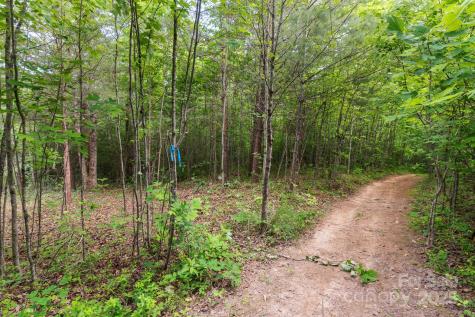 Tbd Whitener Road Penrose NC 28766