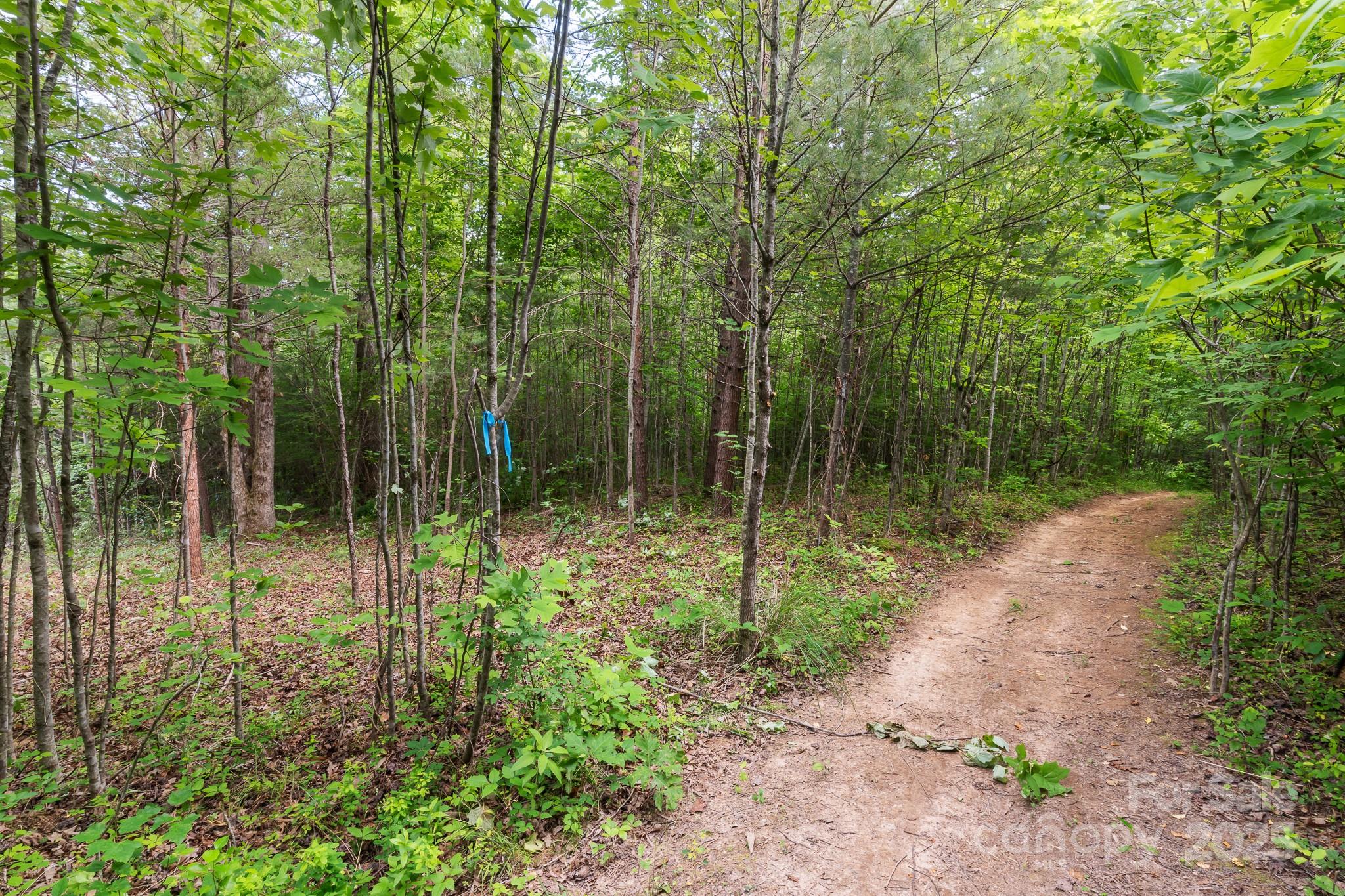 Tbd Whitener Road Penrose NC 28766