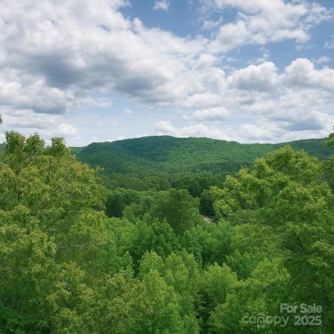 Tbd Whitener Road Penrose NC 28766