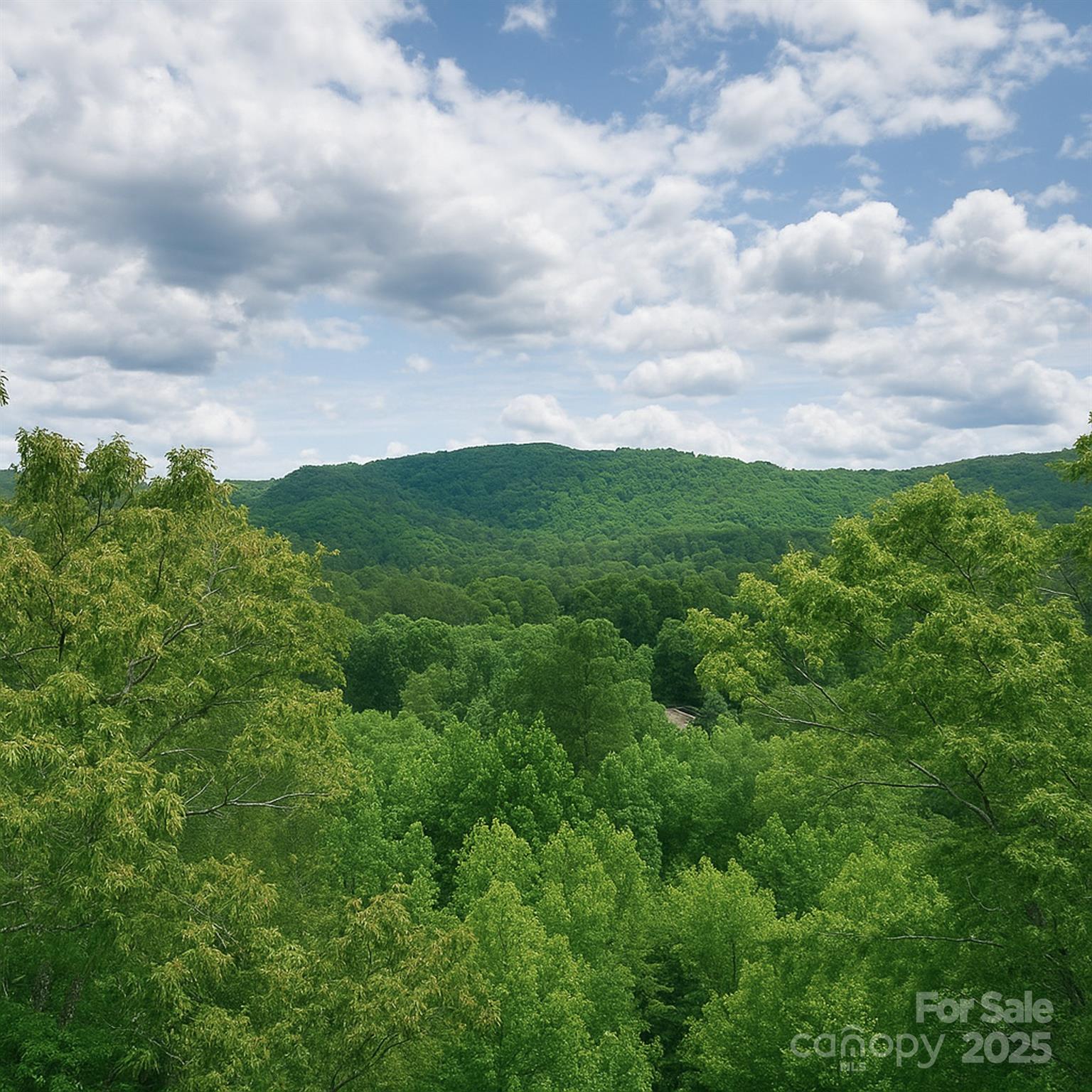 Tbd Whitener Road Penrose NC 28766