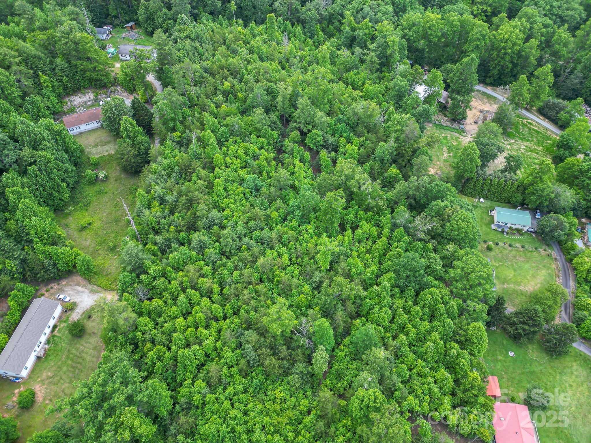 Tbd Whitener Road Penrose NC 28766