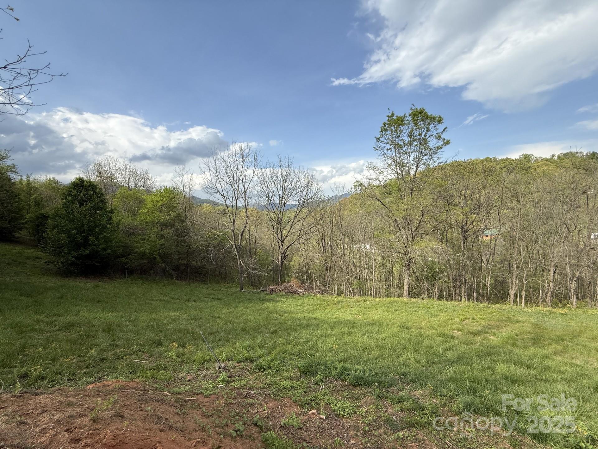 284 Northridge Drive Canton NC 28716